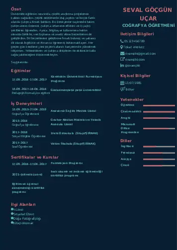 Coğrafya Öğretmeni CV Örnekleri cv indir